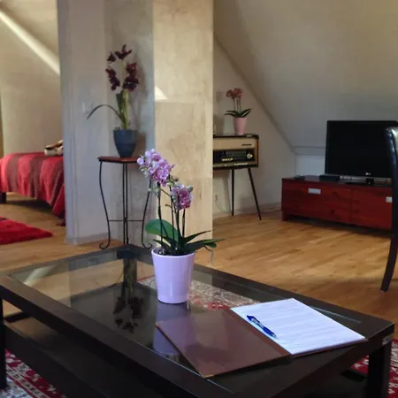 拥抱公寓 公寓 派尔努