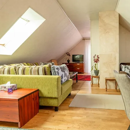 拥抱公寓 派尔努