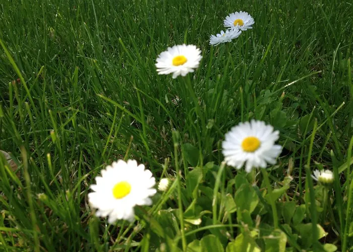 Appartamento Embrace